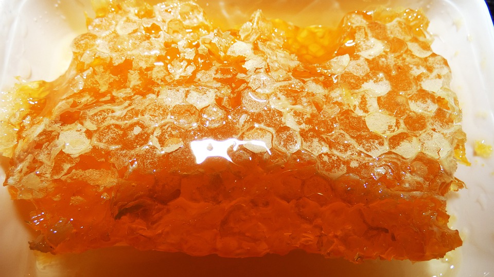 Les bienfaits du miel pour les défenses immunitaires
